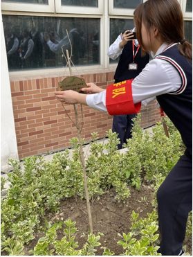 1661345492167117.png