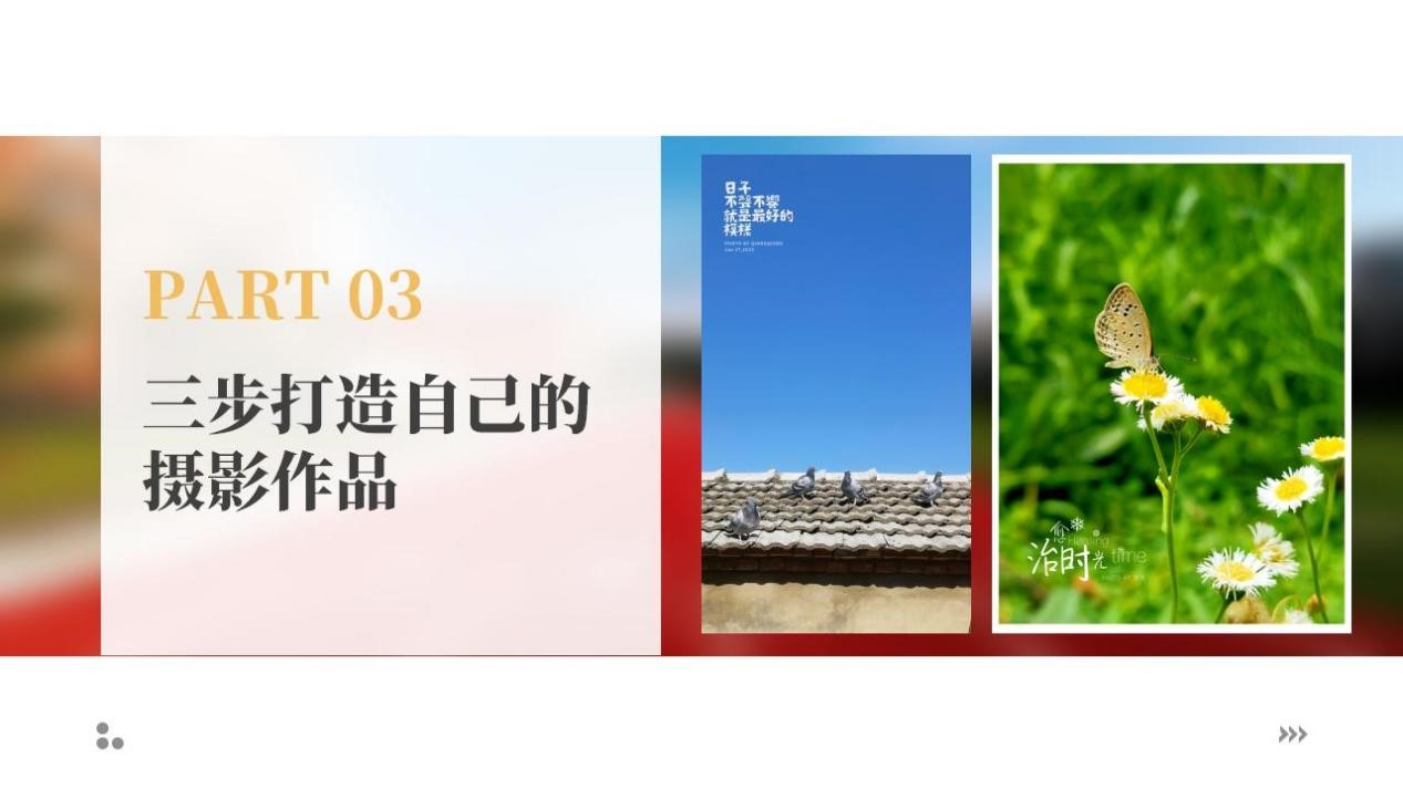 1695727031797479.jpg 1695727031797479.jpg