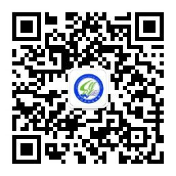 图片11.png