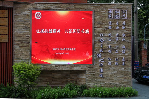 图1A.jpg