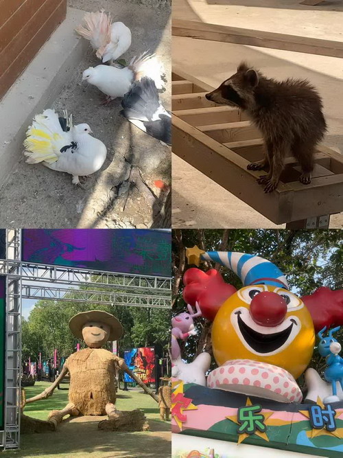 1762309560803013.jpg 图10.jpg