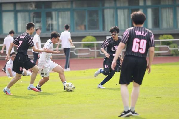 1761375986353939.jpg 8.jpg